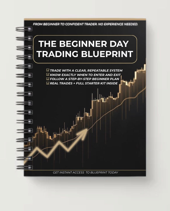 THE BEGINNER DAY TRADING BLUEPRINT (PRINTED BOOK)