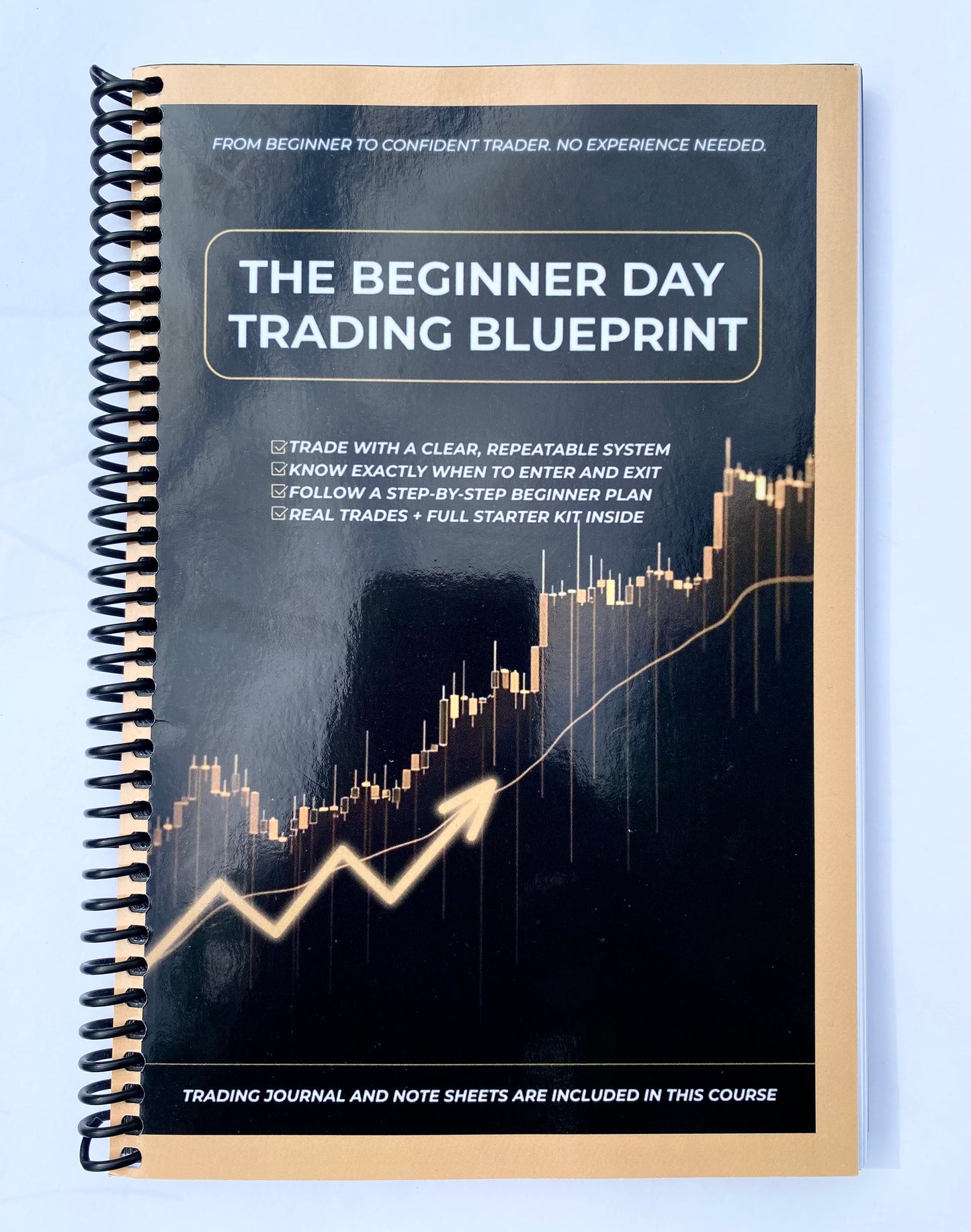 THE BEGINNER DAY TRADING BLUEPRINT (PRINTED BOOK)